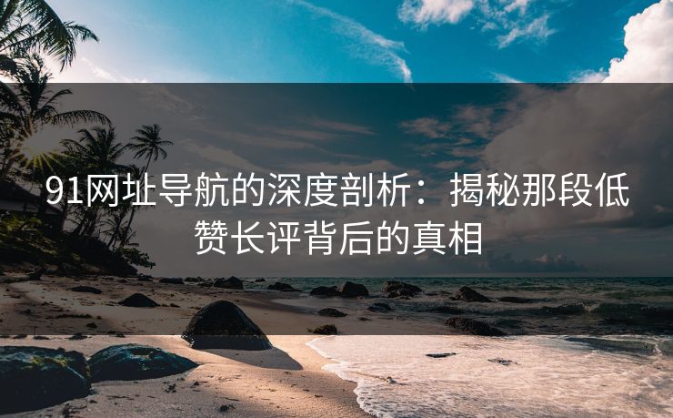 91网址导航的深度剖析：揭秘那段低赞长评背后的真相